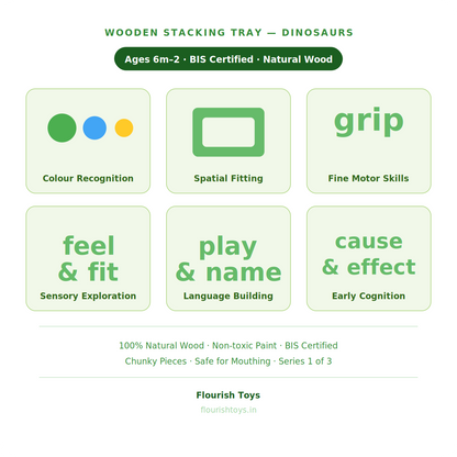 Wooden Stacking Tray — Dinosaurs | Ages 6m–2 | Series 1